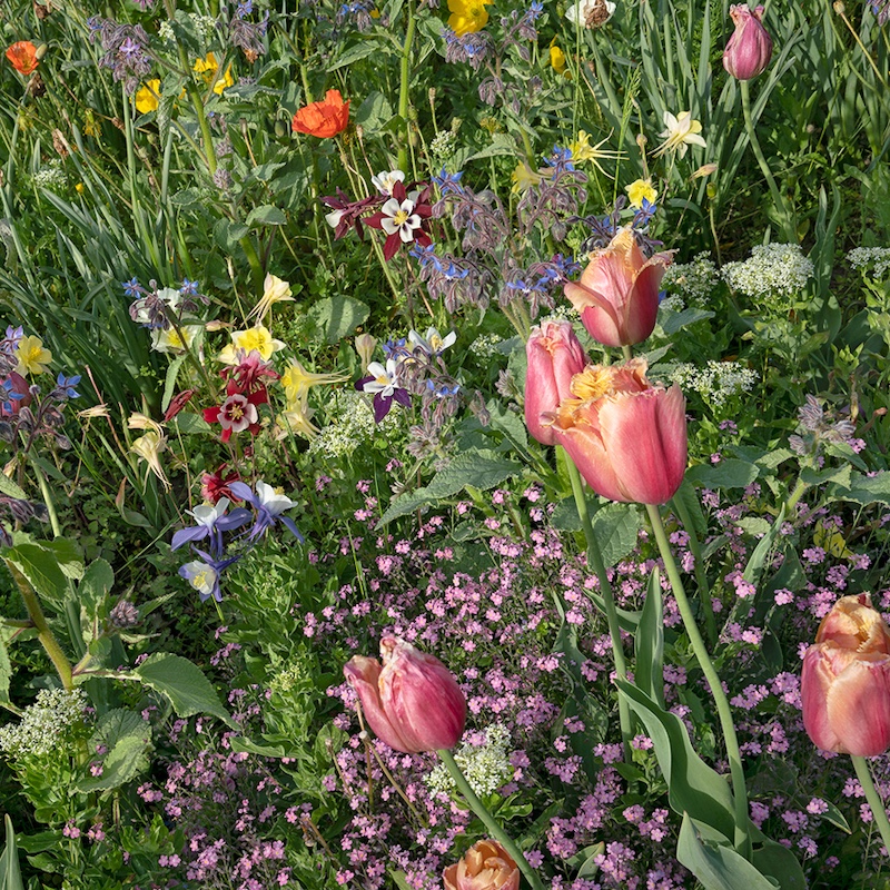 Jardins et Nature